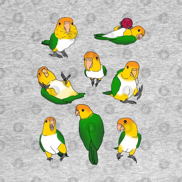 caique doodle pattern by FandomizedRose